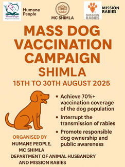 Mass Vaccination Campaign Shimla