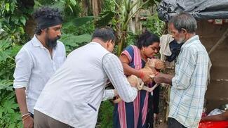 Nest Conservation Society -Rabies Vaccination for the Community Dogs