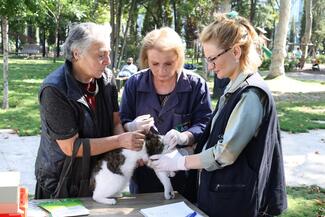 World rabies day 2023