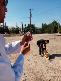 la rage est mortelle et la vaccination est la seule solution pour prévenir