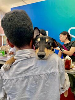 Mass Vaccination in Chennai