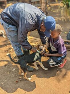 Vaccination activity 