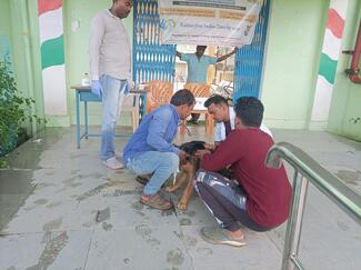 Anti-rabies vaccination camp in the campus of the school