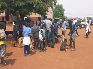 A comunidade aguardando a fila para vacinação dos animais