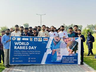 Faculty of UVAS doing Rabies Awareness Campaign 