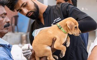 Mass Vaccination in Chennai