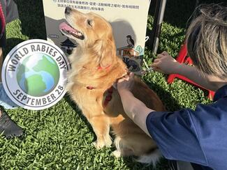 Rabies vaccination during World Rabies Day activity of Taipei City. 