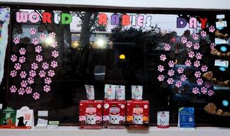 Donation display at Menlyn Vet Practice. A large window that reads 'World Rabies Day' with pawprints representing each donated vaccination