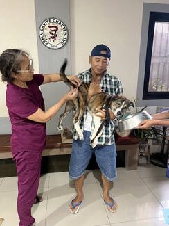 World Rabies Day Celebration @ Compassionate Ladyvet Veterinary Clinic @ Silang, Cavite