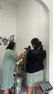 Celebrating World rabies Day 2025 @ Bark  N' Claw Veterinary Clinic