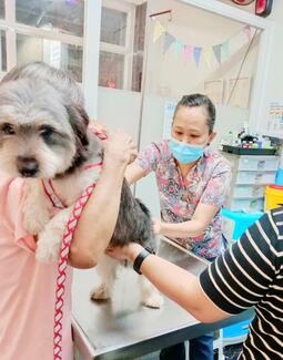 World Rabies Day Celebration @ EHNS Animal Clinic Noveleta, Cavite