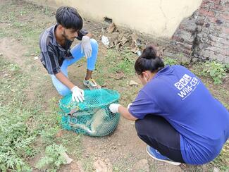 Wild-CER has planned at least 1000 Anti rabies vaccination in September 2025