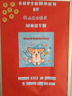 Donation display at Moreletapark Animal Hospital. A red background with pictures and stickers representing each donated vaccination.