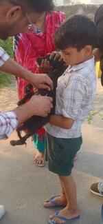 Mass vaccination in Gautam Budh Nagar