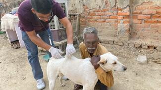 Mass Vaccination in Gautam Budh Nagar