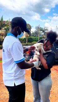 Clients who.brought their dogs for vaccination 