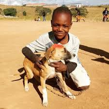 An elated child with a healthy puppy