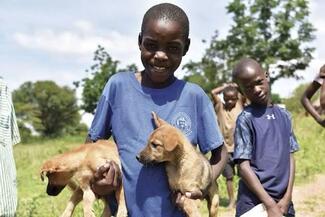 A happy child holding healthy rabies free puppies