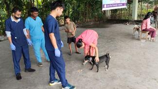 Vaccination of stray dog