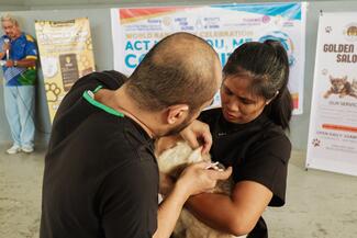 Pet Microchipping