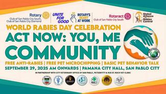 This year poster