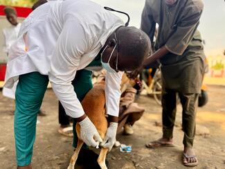 Antirabies Vaccination 