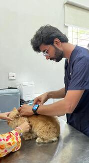 Free Rabies Vaccination 
