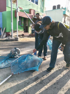 Marking  our way to a Rabies-free Coimbatore