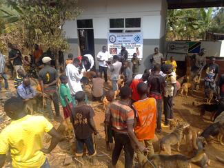 Community members gathered at Nyasha Ward for rabies awareness and vaccination campaign