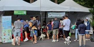 2025 WRD pet rabies vaccination activity at Keelung City, Taiwan