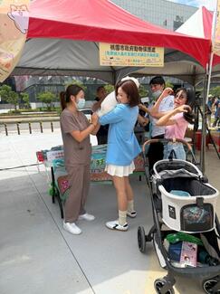 Rabies vaccination for the pets. 