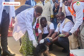 Lancement de la campagne de vaccination des chiens à Abobo par Mme le Maire, présidente du SENAT en CI au cours de la JMR 2025 en CI