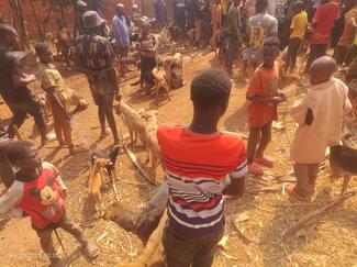 Community members gathered at Nyasha Ward for rabies awareness and vaccination campaign