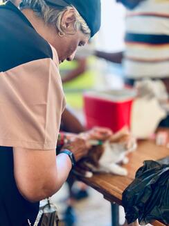 Volunteer vet vaccinating a cat
