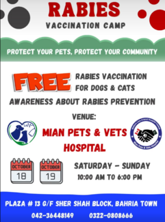Rabies Vaccination Camp