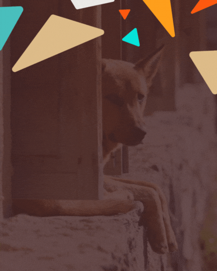 GARC logo reveal gif