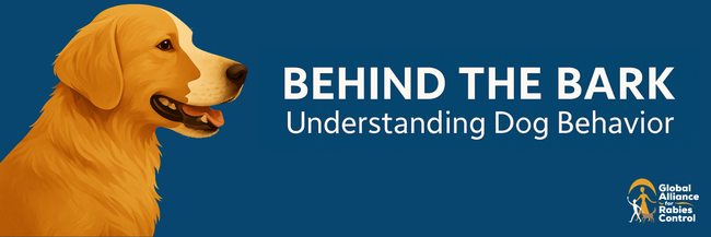 Behind the Bark: Understanding Dog Behavior
