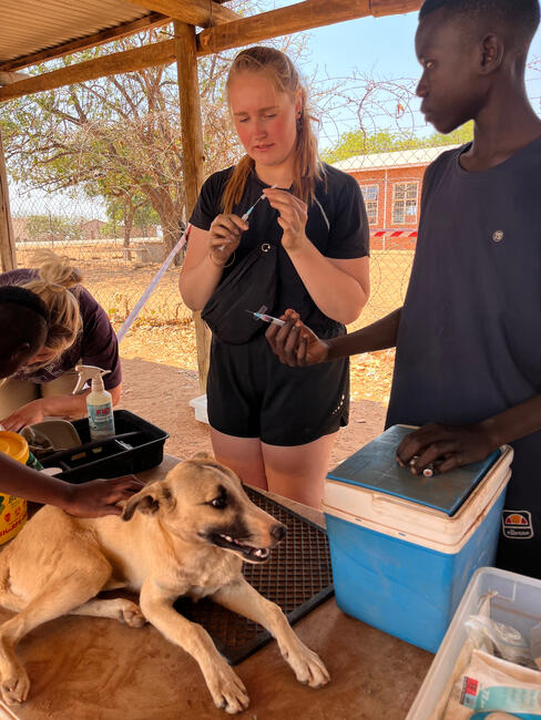 Stronger together South Africa vaccination 