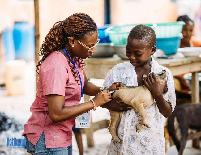 Akosua Kumi Nyarko vaccinating a dog