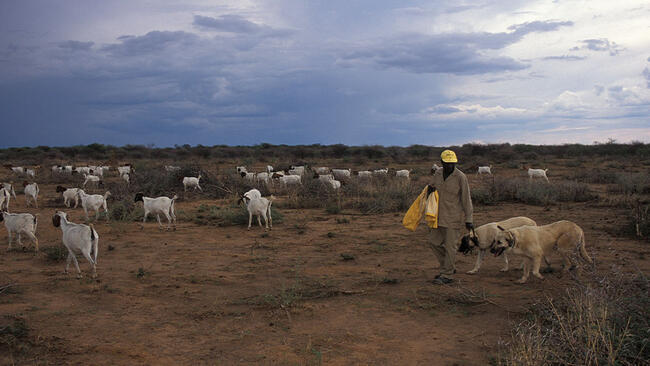 CCF LGDs in the field