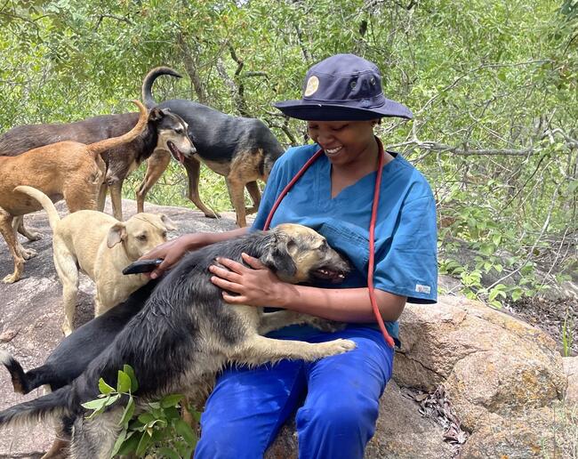 Champions in Action Wadzanayi