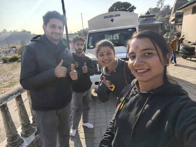 Dharamsala Animal Rescue