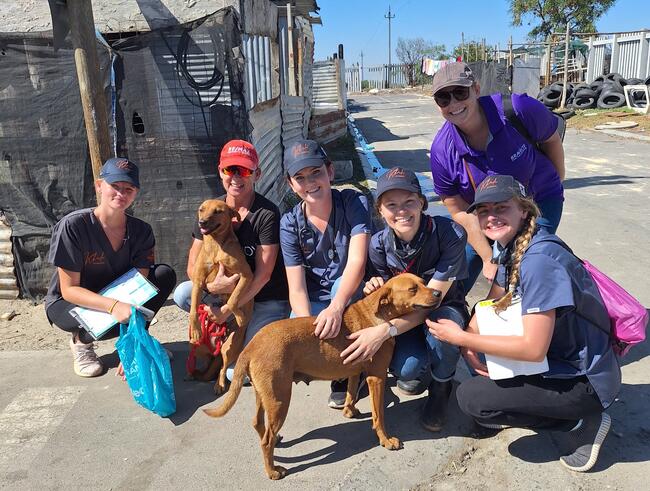 Khula Vet team with dogs