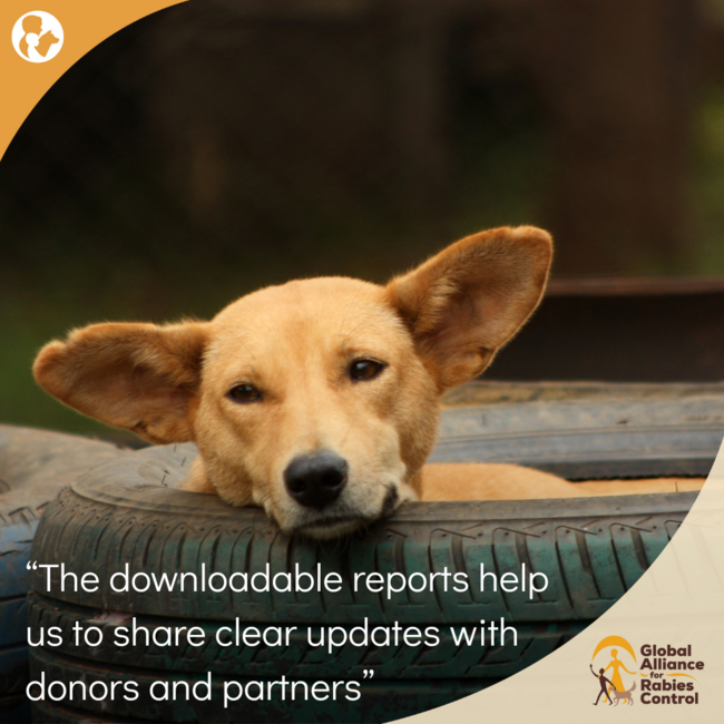 LSPCA dog