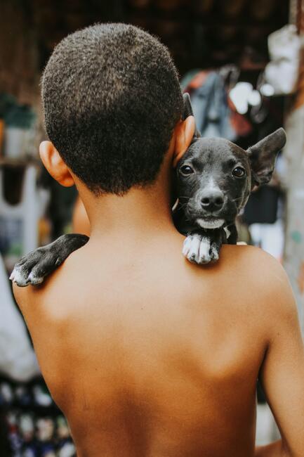 Vaccination protects our dogs