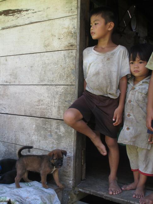 Children with puppy in their home