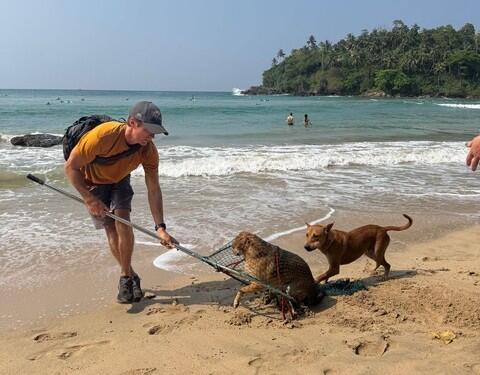 The Dziko Project capturing a dog on the beach