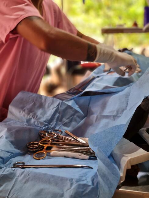 Janey Lowes of WeCare doing animal sterilizations in Sri Lanka
