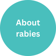 About rabies