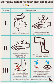 Wound category poster 2025 English